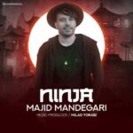 Majid Mandegari Ninja